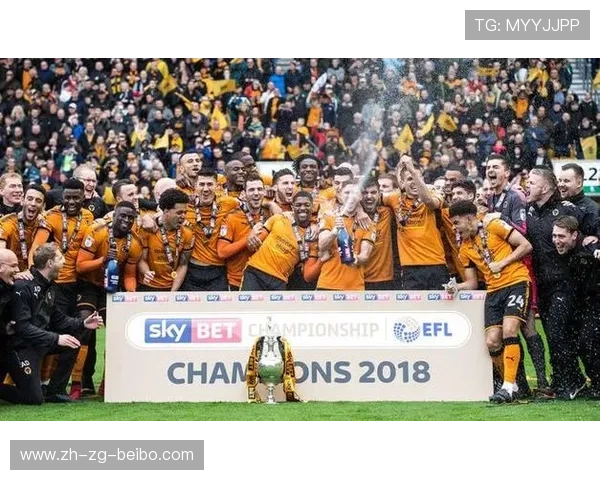 瑞典国脚聚集的英超俱乐部及其表现统计