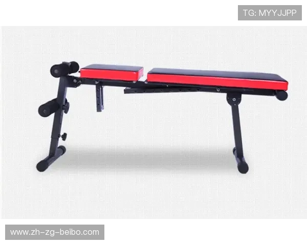 家用健身器材批发市场:家用健身器材批发市场分析