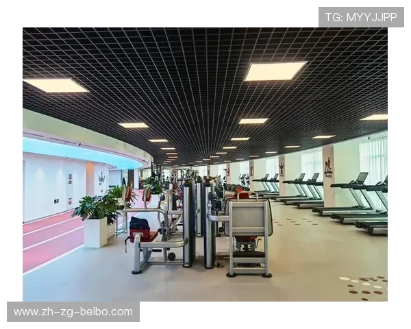 英派斯健身器材各类报价汇总